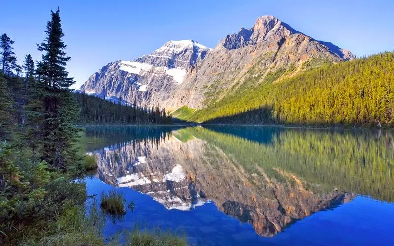 节能高端
